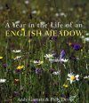 A Year in the Life of an English Meadow