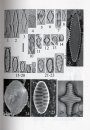 Iconographia Diatomologica, Volume 16: Diatoms of Lakes Prespa and Ohrid