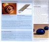 GEO Yearbook 2007
