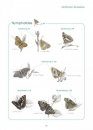 Les Papillons de Jour d'Île-de-France et de l'Oise [The Butterflies of Île-de-France and Oise]