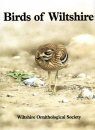 Birds of Wiltshire