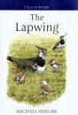 The Lapwing