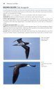 Flight Identification of European Seabirds