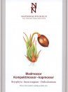 The Encyclopedia of the Swedish Flora and Fauna, Bladmossor, Kompaktmossor - Kapmossor [Swedish]