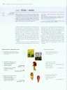 The Encyclopedia of the Swedish Flora and Fauna, Bladmossor, Kompaktmossor - Kapmossor [Swedish]