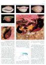Cowries and their Relatives of Southern Africa