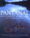 Pantanal: South America's Wetland Jewel