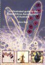 An Illustrated Guide to the Coprophilous Ascomycetes of Australia