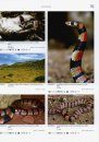 Venomous Snakes of Africa / Giftschlangen Afrikas