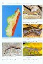 Geckos of Madagascar, the Seychelles, Comoros and Mascarene Islands / Geckos Madagascars, der Seychellen, Komoren und Maskarenen