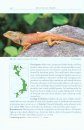 A Photographic Field Guide to the Amphibians and Reptiles of the Lowland Monsoon Forests of Southern Vietnam