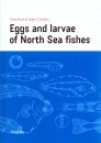 Eggs and Larvae of North Sea Fishes