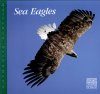 Sea Eagles