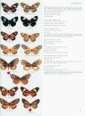 Butterflies of the Neotropical Region, Part 3