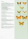 Butterflies of the Holarctic Region, Part 1