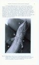 A Review of Marking and Individual Recognition Techniques for Amphibians and Reptiles