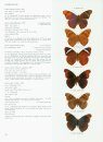 Butterflies of the Neotropical Region, Part 4