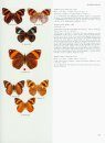 Butterflies of the Neotropical Region, Part 4