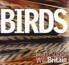 Birds: Reader's Digest Wild Britain