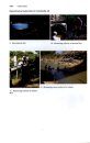 Forest Environments in the Mekong River Basin