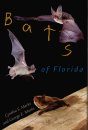 Bats of Florida