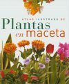 Atlas Ilustrado de Plantas en Maceta
