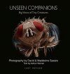 Unseen Companions