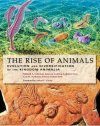 The Rise of Animals