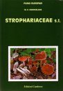 Fungi Europaei, Volume 13: Strophariaceae s.l. [English / Italian]
