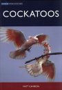 Cockatoos