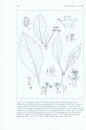 Flora of Ecuador, Volume 79, Part 162: Rubiaceae (part 5) Tribe 18. Psychotrieae (2)