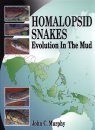 Homalopsid Snakes