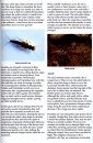 Guide to the British Stonefly (Plecoptera) Families: Adults and Larvae