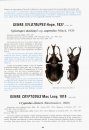 The Beetles of the World, Volume 30: Australian and Oceanian Dynastidae / Les Coleopteres Du Monde: Dynastidae Australiens et Oceaniens