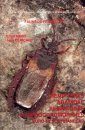 Faune de France, Volume 91: Hémiptères Aradidae, Piesmatidae et Dipsocoromorphes Euro-Méditerranéens