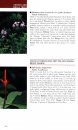 A Field Guide to the Plants of Costa Rica