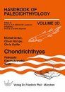 Handbook of Paleoichthyology, Volume 3D: Chondrichthyes IV