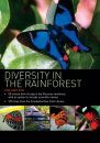 Diversity in the Rainforest (All Regions)