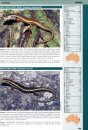 Field Guide to Australian Reptiles