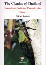 The Cicadas of Thailand, Volume 1