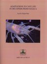 Adaptations to Cave Life in Decapods from Oaxaca