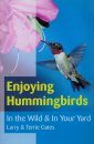 Enjoying Hummingbirds