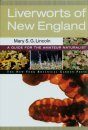 Liverworts of New England