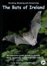 Knowing, Studying and Conserving the Bats of Ireland (All Regions)