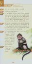 Identification Manual for Mammals in China [Chinese]