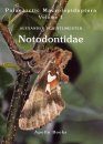 Palaearctic Macrolepidoptera, Volume 1: Notodontidae