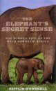 The Elephant's Secret Sense