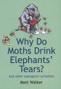 Why Do Moths Drink Elephants' Tears?