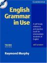 English Grammar in Use with Answers and CD-ROM: A Self-study Reference a