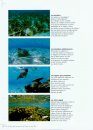 Guide des Poissons de Tahiti et ses Iles
